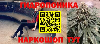 шишки Бузулук