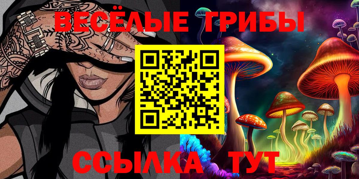 Псилоцибиновые грибы MAGIC MUSHROOMS  Галлюциногенные грибы Psilocybine cubensis  Королёв  Вход с VPN 