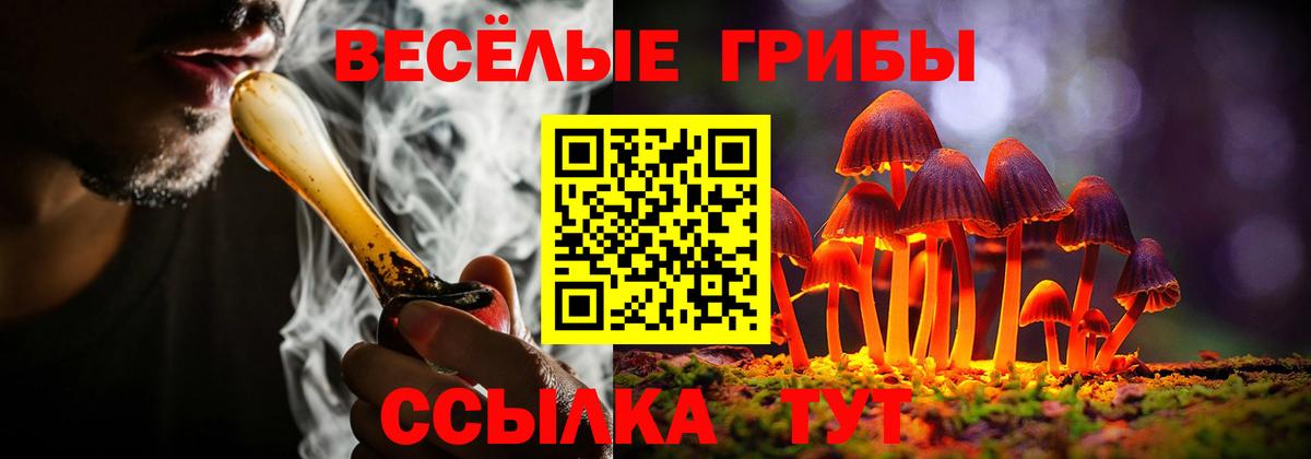 Псилоцибиновые грибы Cubensis Королёв