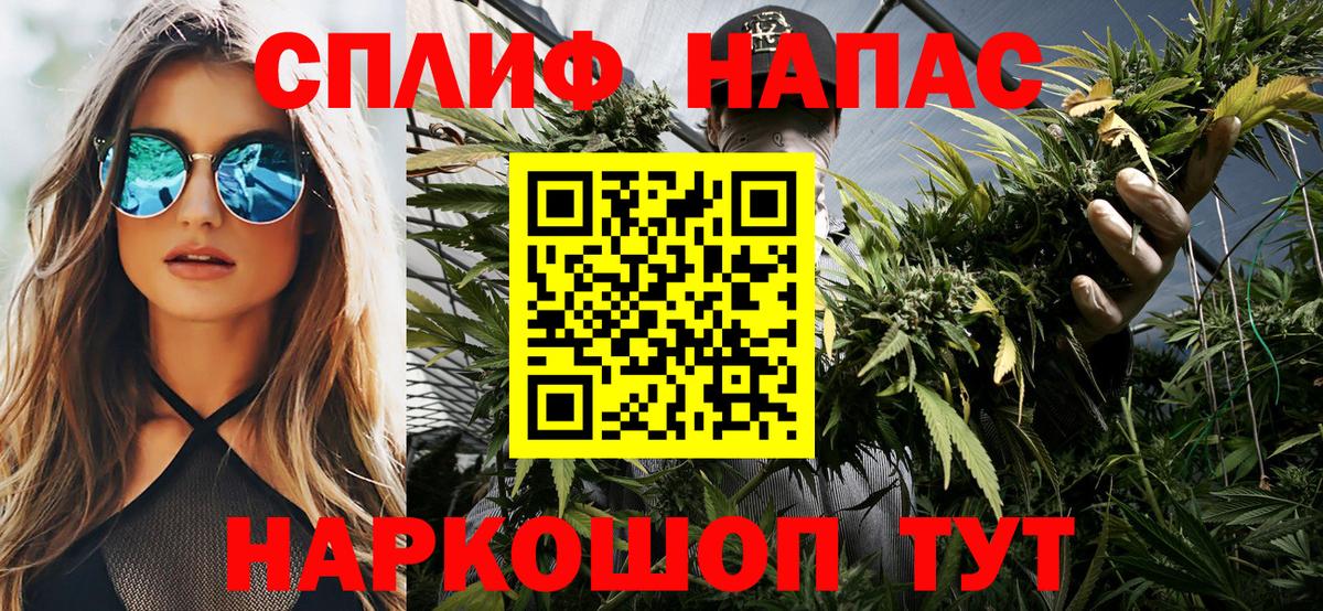 Бошки Шишки план Королёв